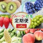 フルーツ 山梨 旬のフルーツ定期便 6回コース