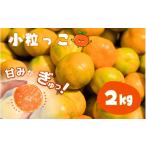 \有機質肥料100% こだわりの青切りみかん 約2kg