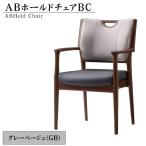 ABホールドチェアBC GB No.482-01