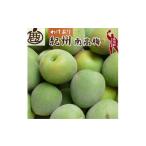 ふるさと納税 青梅 訳あり 南高梅 10kg＋250g（痛み補償分） / 梅 梅ジュース 梅酒 梅干し 家庭用 和歌山 ※5月~6月発送予定 ※北海道・沖縄・.. 和歌山県広川町