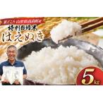 ふるさと納税 米 令和7年度産 はえぬき 5kg [渡部ファーム 山形県 高畠町 tk06ays810033] 山形県高畠町