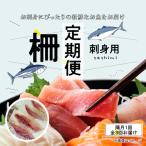 S121-T04_ 天草天然鮮魚を直送