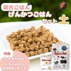漢方ごはん改めげんかつごはん木 ドライ400g+レトルト1個