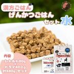 漢方ごはん改めげんかつごはん水 ドライ400g+レトルト1個