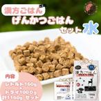 漢方ごはん改めげんかつごはん水 ドライ1000g+レトルト2個