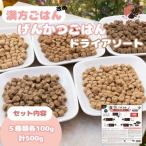 漢方ごはん改めげんかつごはんドライアソート 100g×5種類