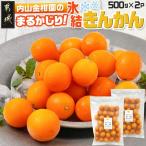 内山金柑園のまるかじり氷結きんかん1kg 500g×2P
