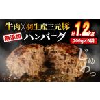 ショッピングふるさと納税 ハンバーグ ふるさと納税 冷凍 ハンバーグ 1.2kg 個包装 ギフト お歳暮 大判ハンバーグ 埼玉県羽生市