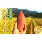 ふるさと納税 【先行予約】 自然栽培 栗かぐや 1kg（3〜6本） さつまいも サツマイモ 芋 山形県 新庄市 F3S-2636 山形県新庄市