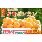 果物 くだものフルーツ みかん ミカン 柑橘