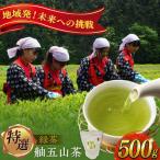 舳五山茶 特選500g 緑茶 茶葉 茶ば お茶