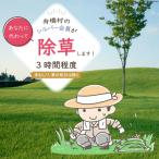 除草 手むしり 3時間 程度