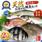 2026年10月1日以降 魚 詰め合わせ 2kg