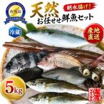 2026年10月1日以降 魚 詰め合わせ 5kg