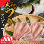 大和ブリのスペアリブ 約300g×2パック