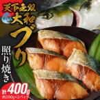 天下無双 大和ブリの照り焼き N072-YA2257