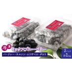 fu.... налог ... производство рефрижератор Mix голубика ( Burke re-* Nelson * Elizabeth *da low )500g×2 упаковка NSAL005 Yamanashi префектура ...