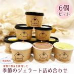 6個セットの果物や野菜を使用した季節のジェラート詰め合わ…