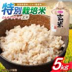 米 5kg