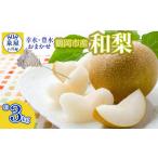 ふるさと納税 【令和8年産先行予約】鶴岡市産 和梨（品種おまかせ）幸水・豊水のどちらか1種 約3kg　K-823　泉屋商店 山形県鶴岡市