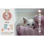 セット ロゴチャーム ポストカード3枚 保護猫支援