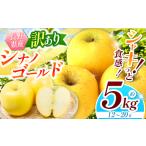 訳あり シナノゴールド 約5kg