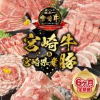 宮崎牛と 産豚 N0147-YF098