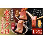 HSR-111 産本マグロ トロ&赤身 3種セット 合計1.2kg