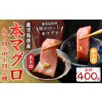 CS-223 産本マグロ 大トロ&中トロセット 合計400g