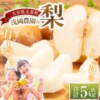 浅岡農園の梨 約5kg