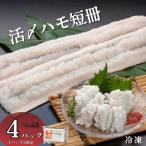 活〆鱧短冊300g×4 冷凍 鱧 ハモ 鱧短冊
