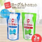 ヨーグルトスパウト 700g