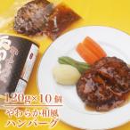 ふるさと納税 ハンバーグ 120g×10個 ハンバーグ 静岡県沼津市
