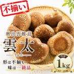 奥出雲椎茸 雲太 不揃い1kg