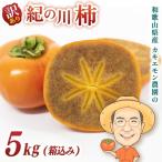 紀の川 柿 約5kg