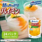 パイミン 24パック