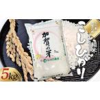 令和6年度 新米 こしひかり 精米 5kg