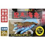 漁師直送 プリプリの足赤海老 10尾×2袋