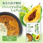 スパイスカレー パパイヤ 10食セット 本格
