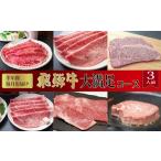 飛騨牛大満足コース 約3人前