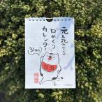 カレンダー 元気のでる日めくりカレンダー