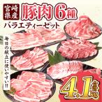 豚肉 バラエティー セット 合計4.1kg