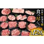 ふるさと納税 6か月 お楽しみ 定期便 宮崎牛 宮崎県産豚 食べ尽くし セット 総重量12.9kg 数量限定 6回 肉 牛肉 豚肉 国産 食品 黒毛和牛 小分け.. 宮崎県日南市