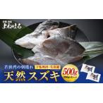若狭湾の朝獲れ 天然 スズキ 約500g