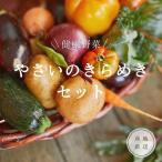 やさいのキラメキセット
