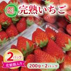 朝摘み完熟いちご 2パック
