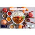 船橋にんじんカレー 8食分