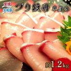 鰤 冊 半身分 約 1.2kg