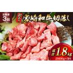 ふるさと納税 牛肉 訳あり 3回 定期便 宮崎和牛 切り落とし 焼肉 600g ×3回 総計 1.8kg [道の駅「日向」物産館 宮崎県 日向市 452061149] 宮崎県日向市