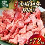 牛肉 訳あり 12回 定期便 宮崎和牛 切り落とし
